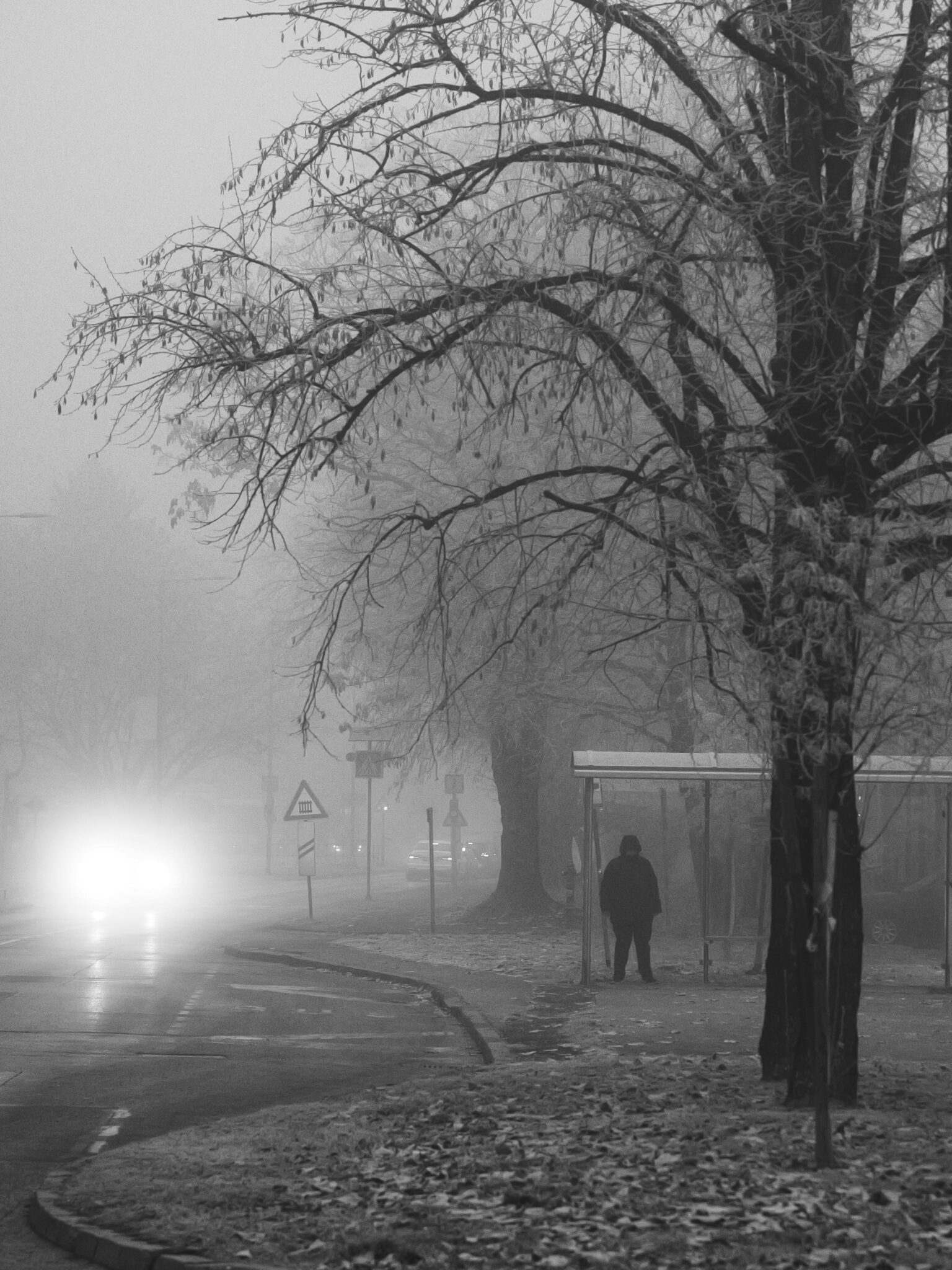 Foggy morning